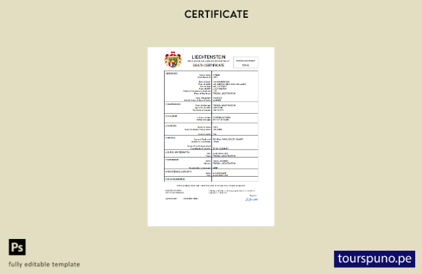 listo para imprimir plantilla de Word y PDF del certificado de defunción del r 8